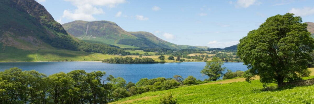 Banner scene landscape of hills tree and lake